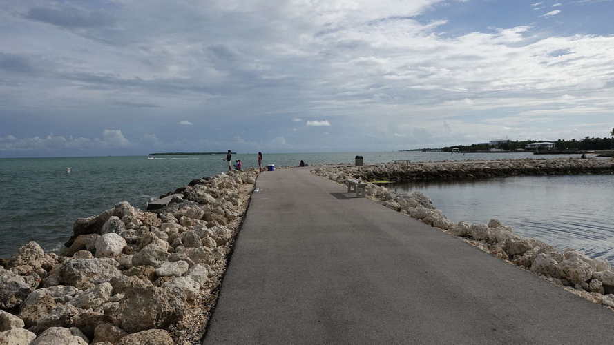 MIA_2023-08-19 17-38-48_RX_06273